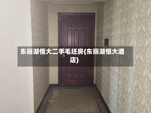东丽湖恒大二手毛坯房(东丽湖恒大酒店)-第2张图片