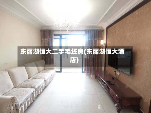 东丽湖恒大二手毛坯房(东丽湖恒大酒店)