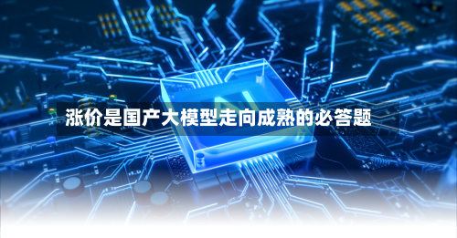 涨价是国产大模型走向成熟的必答题-第2张图片