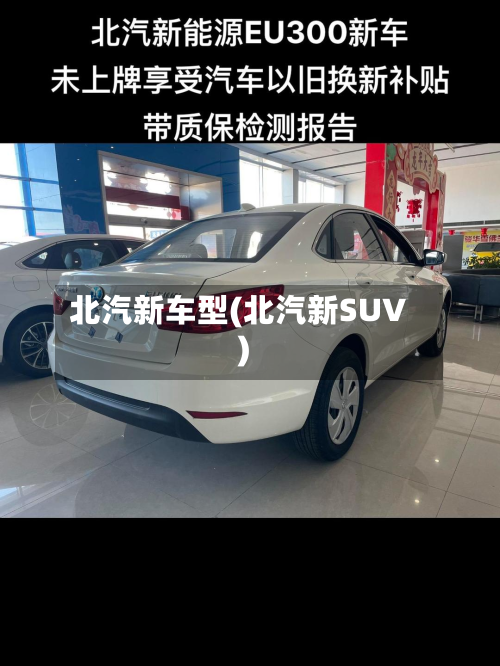 北汽新车型(北汽新SUV)
