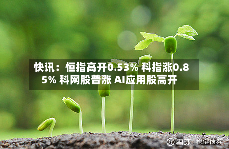 快讯：恒指高开0.53% 科指涨0.85% 科网股普涨 AI应用股高开-第1张图片