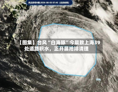 【图集】台风“白海豚”今晨致上海39处道路积水，正开展抢排清理