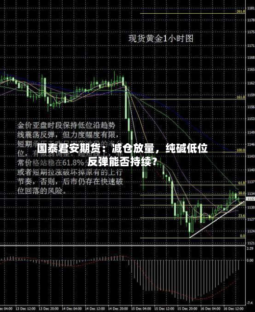 国泰君安期货：减仓放量	，纯碱低位反弹能否持续？-第2张图片