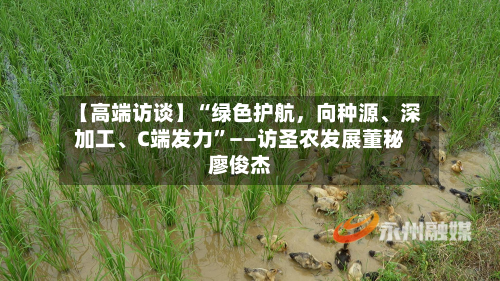 【高端访谈】“绿色护航，向种源	、深加工、C端发力”——访圣农发展董秘廖俊杰-第2张图片
