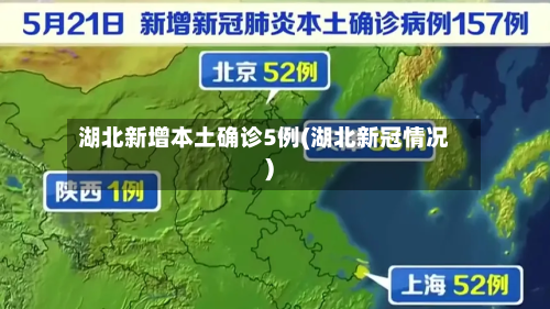 湖北新增本土确诊5例(湖北新冠情况)