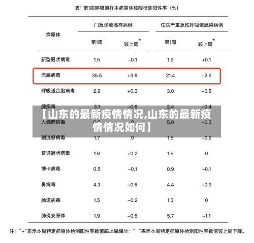 【山东的最新疫情情况,山东的最新疫情情况如何】