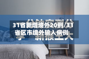 31省新增境外20例/31省区市境外输入病例-第2张图片