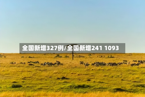 全国新增327例/全国新增241 1093