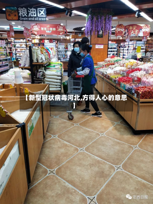【新型冠状病毒河北,方得人心的意思】