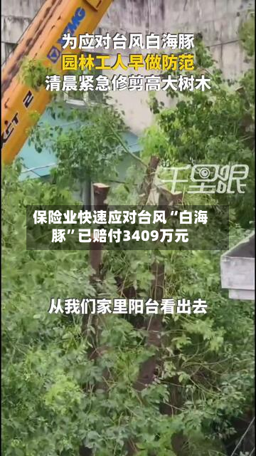 保险业快速应对台风“白海豚”已赔付3409万元-第2张图片