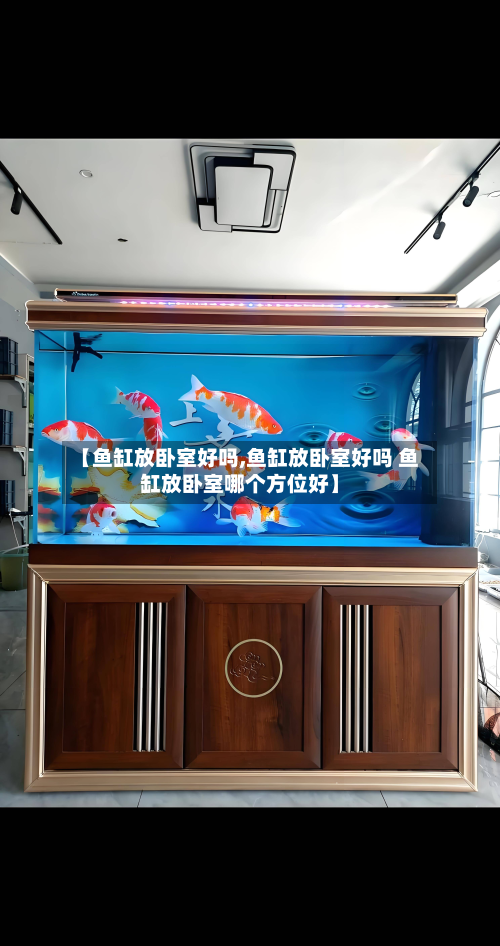 【鱼缸放卧室好吗,鱼缸放卧室好吗 鱼缸放卧室哪个方位好】