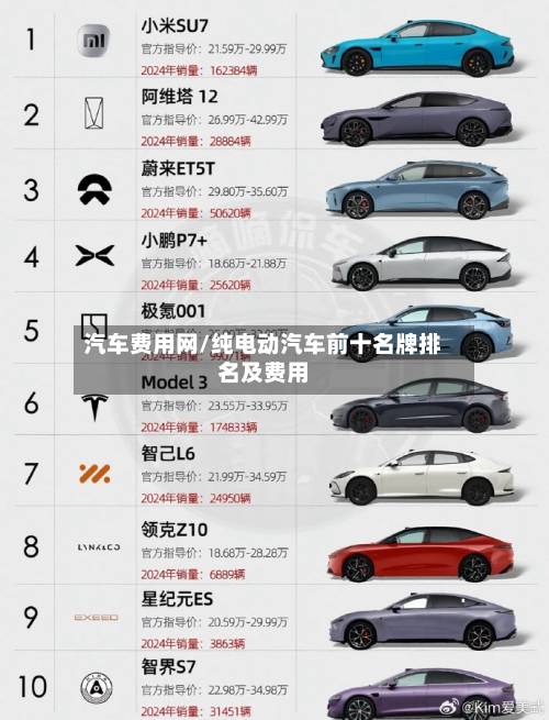 汽车费用网/纯电动汽车前十名牌排名及费用-第2张图片