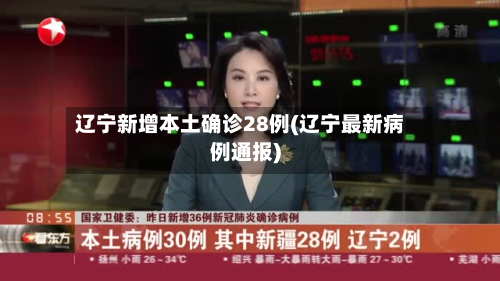 辽宁新增本土确诊28例(辽宁最新病例通报)