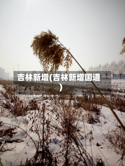 吉林新增(吉林新增国道)