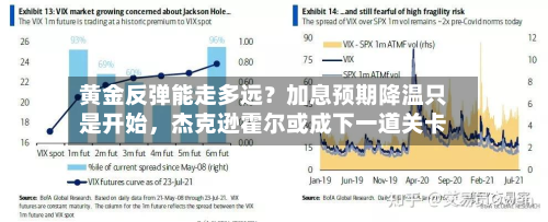 黄金反弹能走多远？加息预期降温只是开始，杰克逊霍尔或成下一道关卡-第3张图片