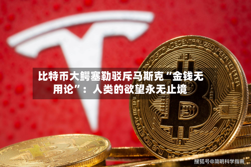 比特币大鳄塞勒驳斥马斯克“金钱无用论”：人类的欲望永无止境-第2张图片