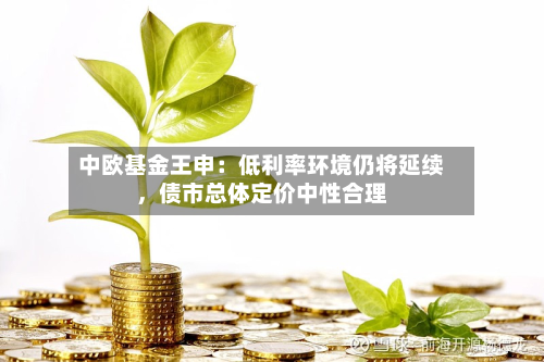 中欧基金王申：低利率环境仍将延续	，债市总体定价中性合理-第2张图片
