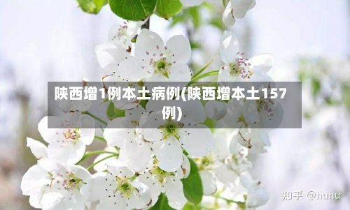 陕西增1例本土病例(陕西增本土157例)-第2张图片