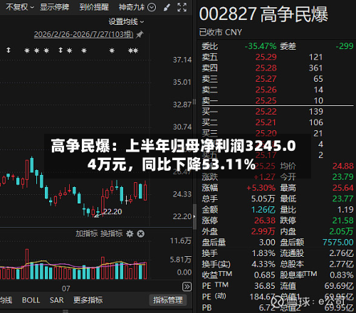 高争民爆：上半年归母净利润3245.04万元，同比下降53.11%-第2张图片
