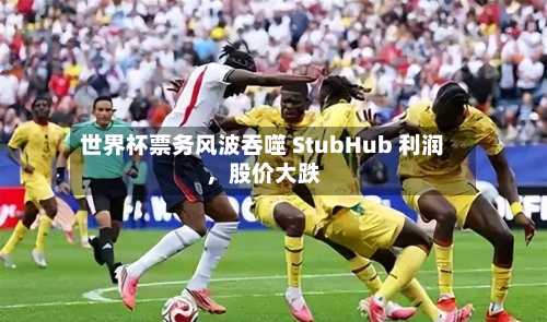 世界杯票务风波吞噬 StubHub 利润，股价大跌-第2张图片