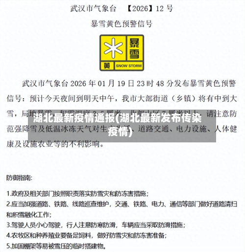 湖北最新疫情通报(湖北最新发布传染疫情)-第2张图片
