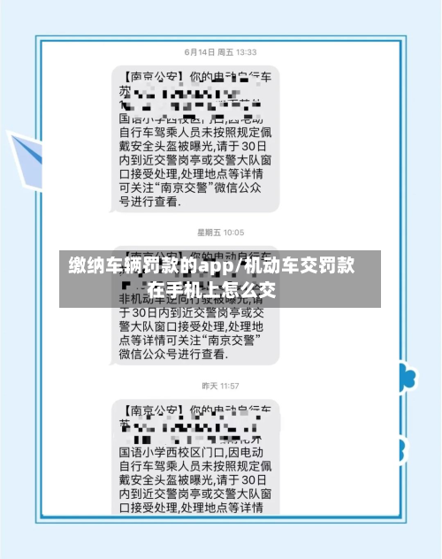 缴纳车辆罚款的app/机动车交罚款在手机上怎么交