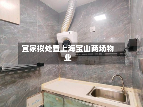 宜家拟处置上海宝山商场物业-第3张图片