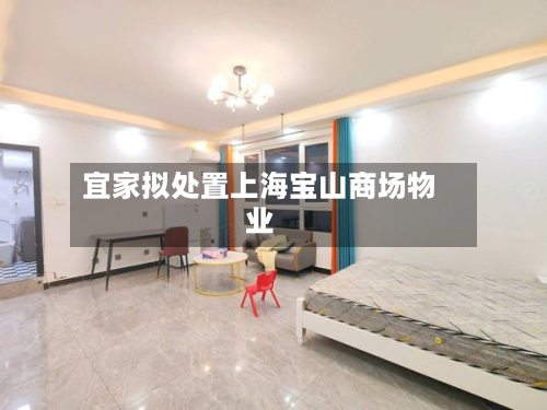 宜家拟处置上海宝山商场物业