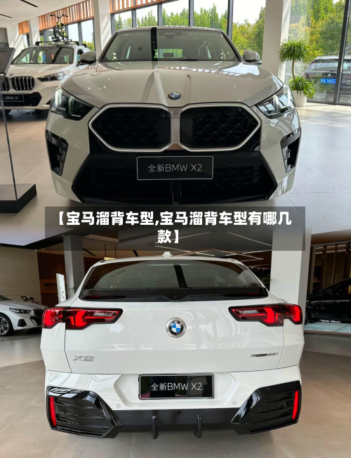 【宝马溜背车型,宝马溜背车型有哪几款】