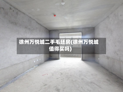 徐州万悦城二手毛坯房(徐州万悦城值得买吗)-第3张图片