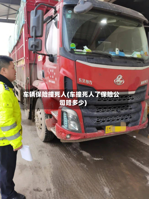 车辆保险撞死人(车撞死人了保险公司赔多少)-第2张图片