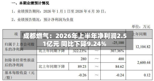 成都燃气：2026年上半年净利润2.51亿元 同比下降9.24%-第2张图片