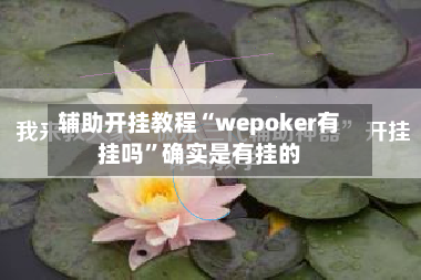 辅助开挂教程“wepoker有挂吗”确实是有挂的-第2张图片