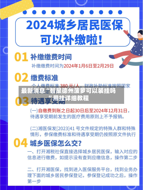 最新消息“智星德州菠萝可以装挂吗	”用挂详细教程-第2张图片