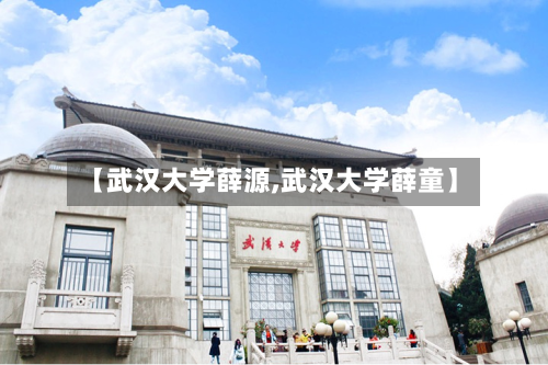 【武汉大学薛源,武汉大学薛童】-第3张图片
