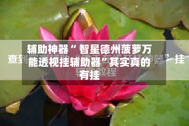 辅助神器“ 智星德州菠萝万能透视挂辅助器”其实真的有挂