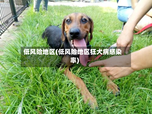 低风险地区(低风险地区狂犬病感染率)
