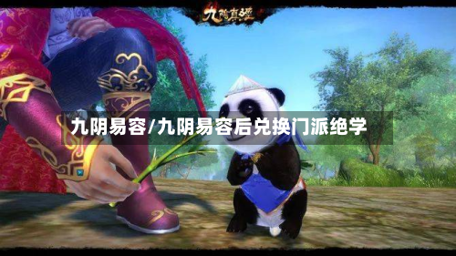 九阴易容/九阴易容后兑换门派绝学
