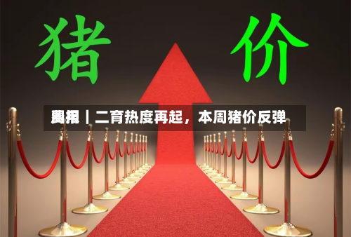 费用周报｜二育热度再起	，本周猪价反弹-第2张图片