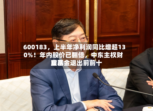 600183，上半年净利润同比增超130%！年内股价已翻倍，中东主权财富基金退出前前十股东-第3张图片