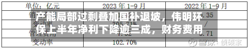 产能局部过剩叠加国补退坡	，伟明环保上半年净利下降逾三成，财务费用同比激增-第2张图片