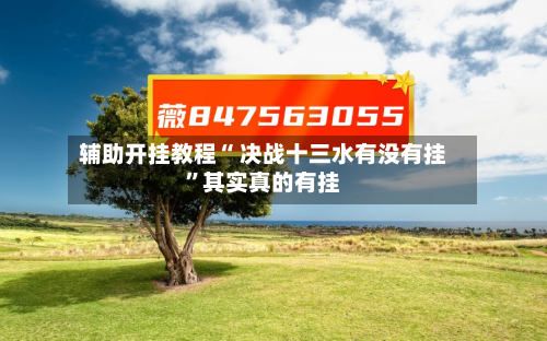 辅助开挂教程“ 决战十三水有没有挂”其实真的有挂
