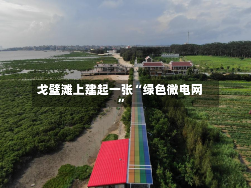 戈壁滩上建起一张“绿色微电网	”-第2张图片