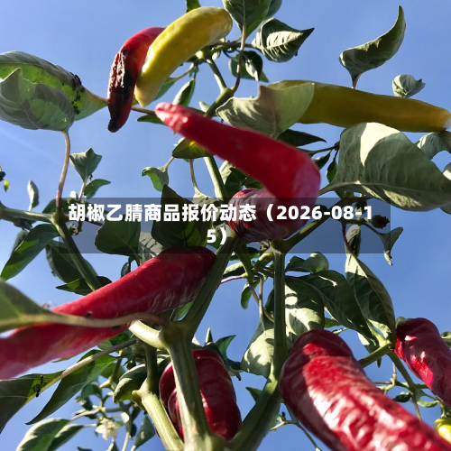 胡椒乙腈商品报价动态（2026-08-15）-第2张图片