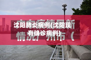 沈阳肺炎病例(沈阳现有确诊病例)-第1张图片