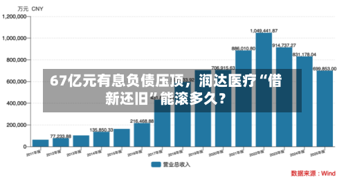 67亿元有息负债压顶，润达医疗“借新还旧”能滚多久？-第2张图片