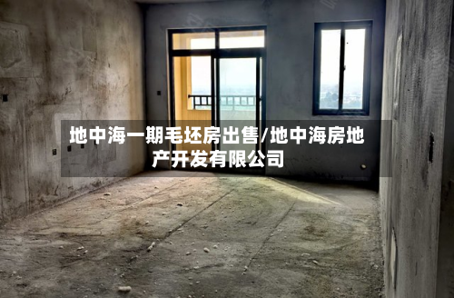 地中海一期毛坯房出售/地中海房地产开发有限公司-第2张图片