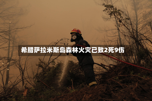 希腊萨拉米斯岛森林火灾已致2死9伤-第2张图片