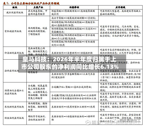 皇马科技：2026年半年度归属于上市公司股东的净利润同比增长6.13%-第1张图片