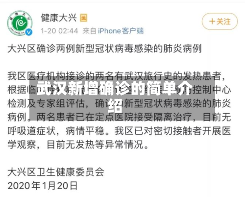 武汉新增确诊的简单介绍-第2张图片
